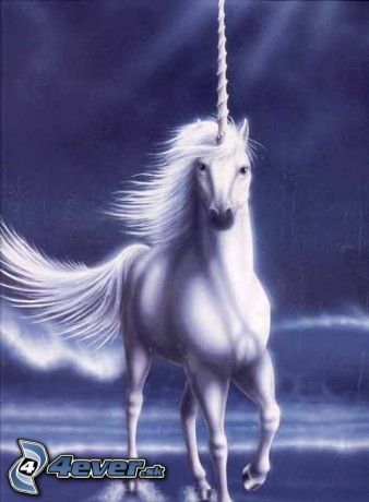 [obrazky.4ever.sk] jednorozec 1789654